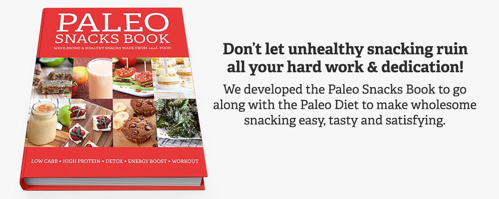 Paleo Snacks Book